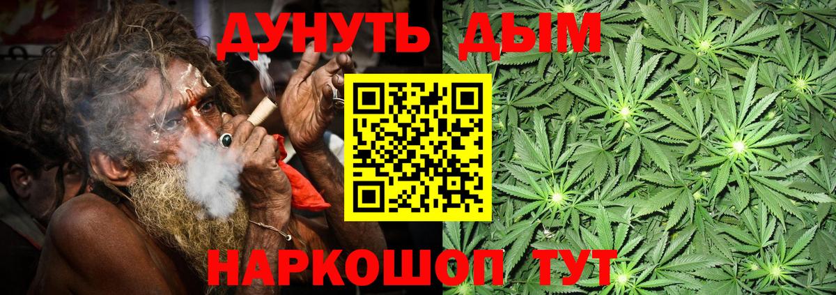 Конопля планчик  Ачхой-Мартан  Канабис план 